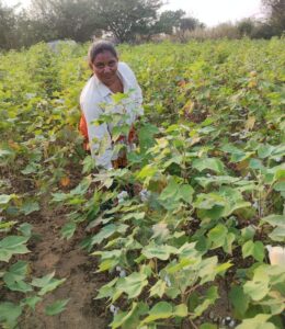 RSD_Sarpanch-as-labourer