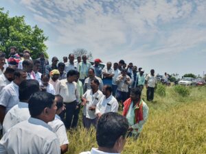 RSD_Additional-collectore-field-visit-of-crop-damage