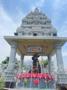 RSD_-Vemulawada-new-beauty