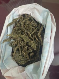 RSD_Ganja-caught-at-Kodurupaka-2