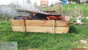 RSD_National-bird-cremenation-2