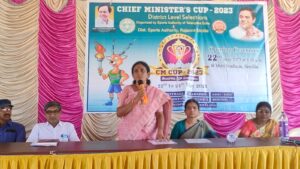 rsd_cm_cup_mini_stadium_sircilla-2