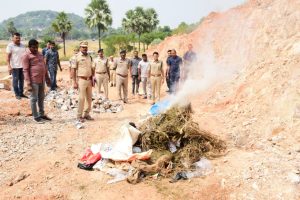 WhatsApp-Image-2023-11-02-at-6.43.49-PM